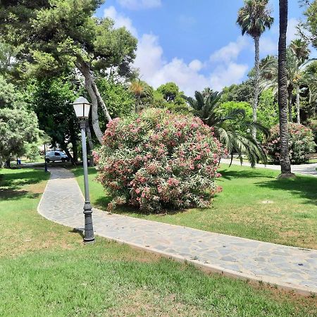 Sinforosa Park Apartments Τορεβιέχα Εξωτερικό φωτογραφία