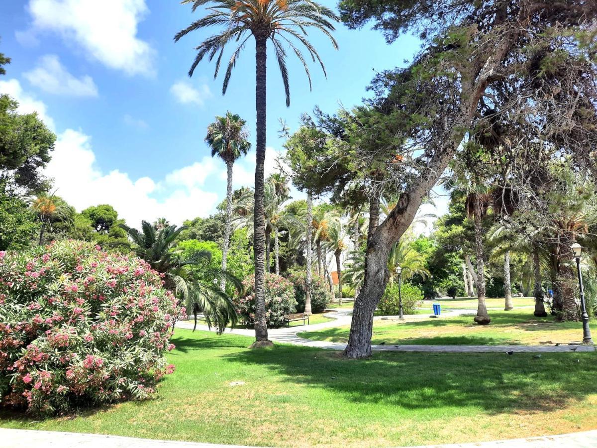 Sinforosa Park Apartments Τορεβιέχα Εξωτερικό φωτογραφία